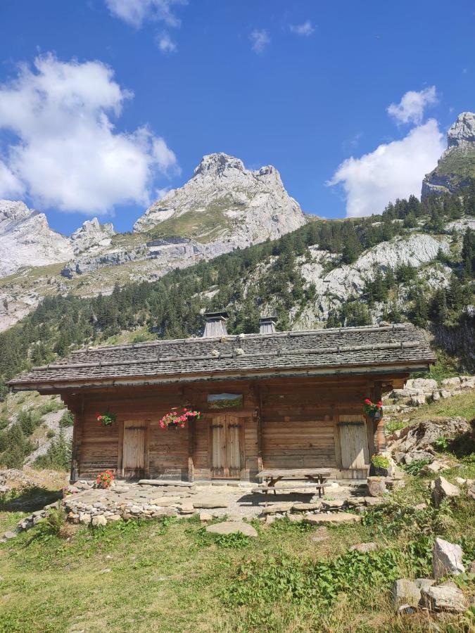 Vila La Petite Anfiane Le Grand-Bornand Exteriér fotografie